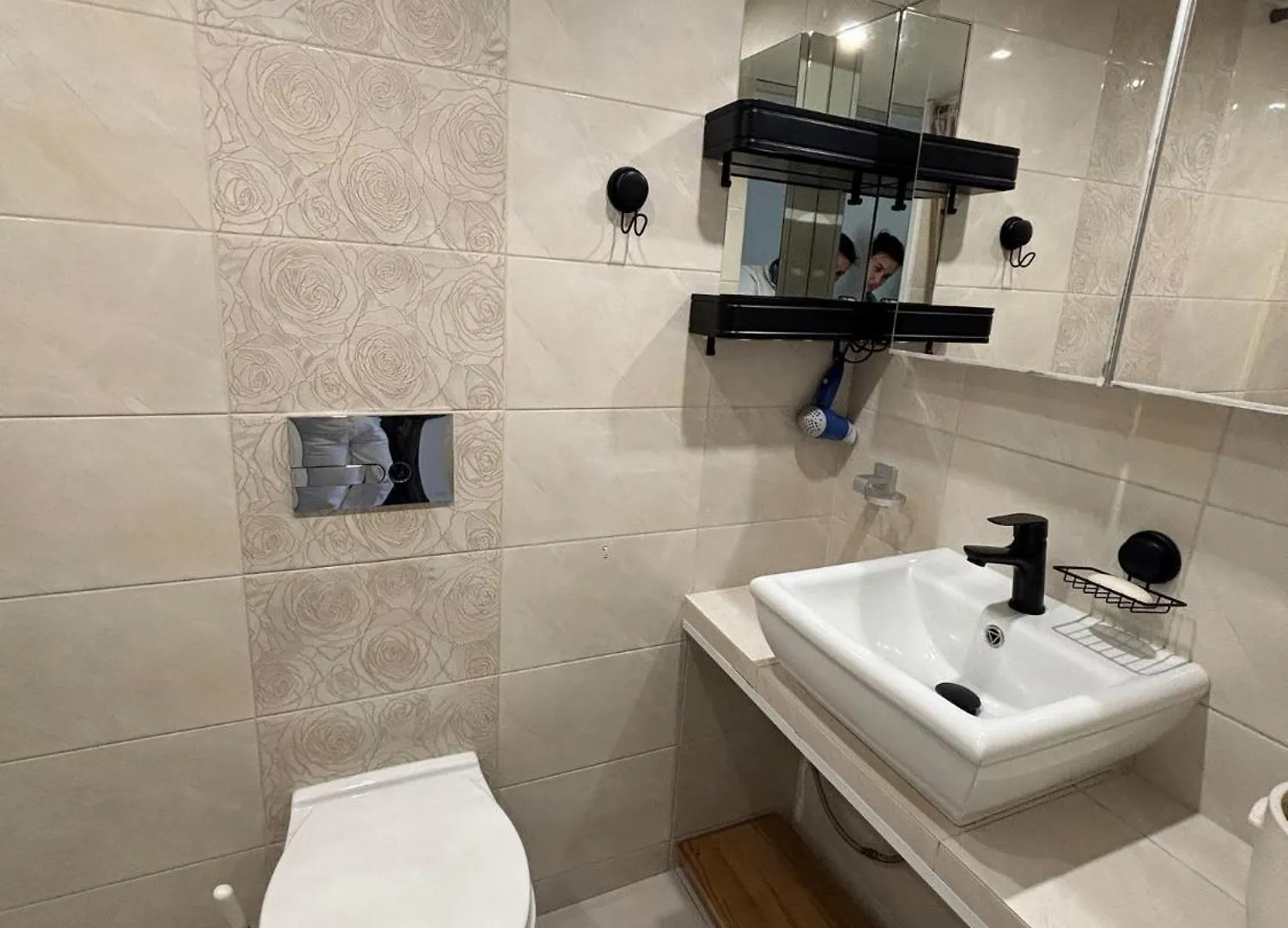 Parrot Apartment Main Station Cracow Krakow Poland